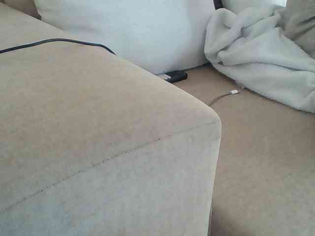 Dollie webcam
