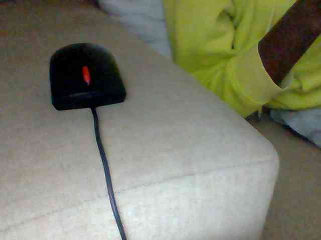 Dollie webcam