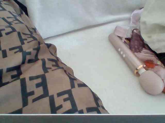 Dollie webcam