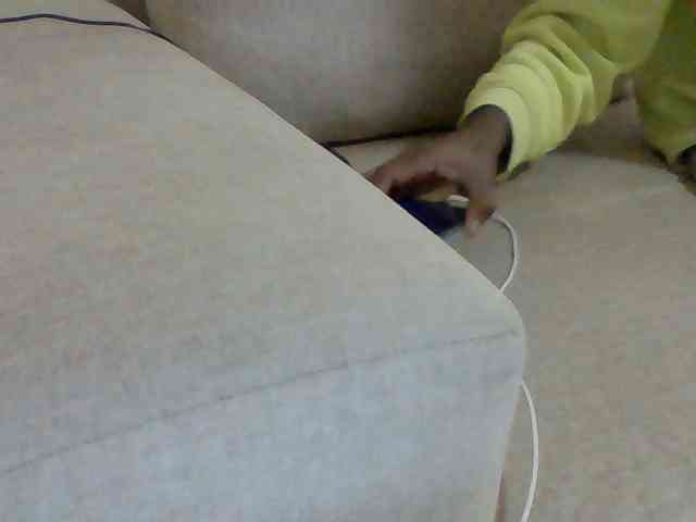 Dollie webcam