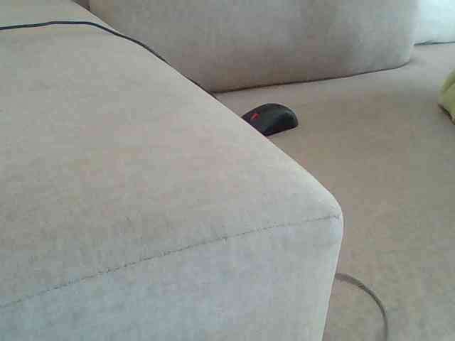 Dollie webcam
