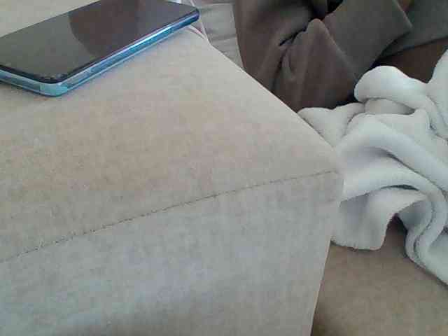 Dollie webcam