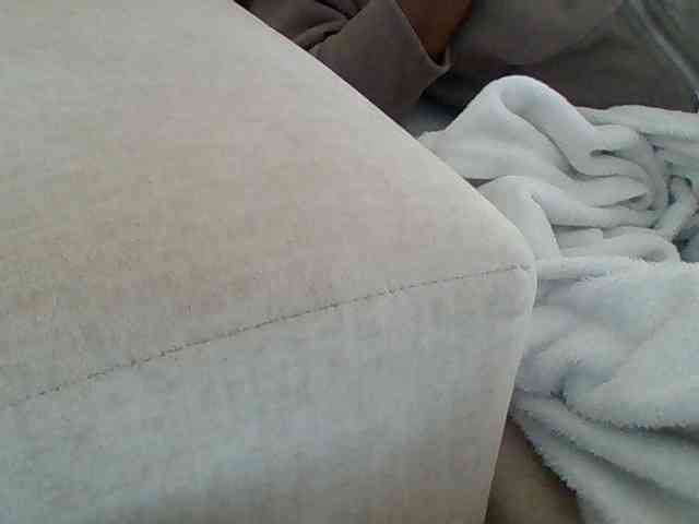 Dollie webcam