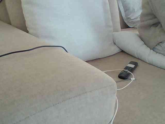 Dollie webcam