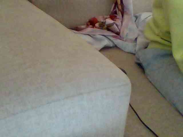Dollie webcam