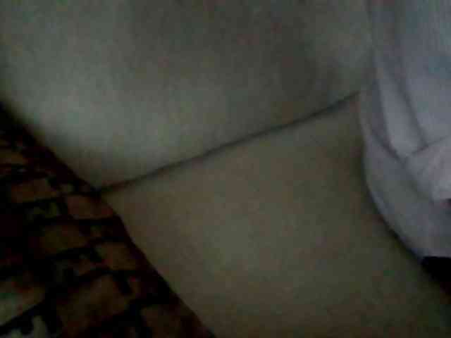 Dollie webcam