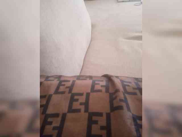 Dollie webcam