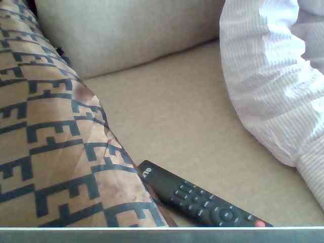 Dollie webcam