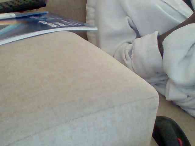 Dollie webcam