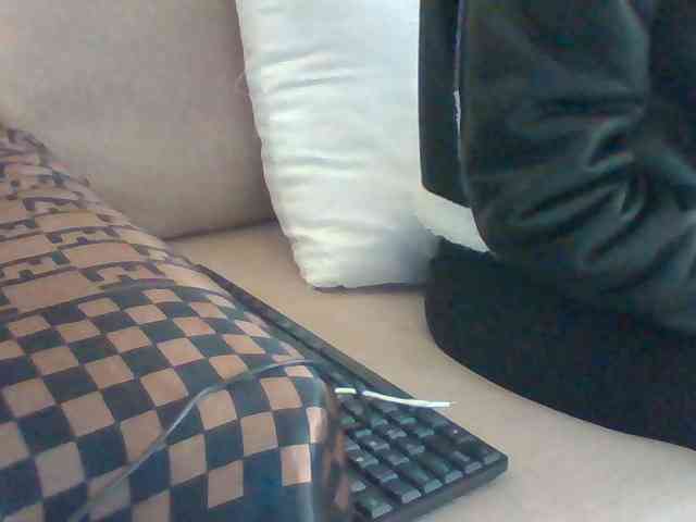 Dollie webcam
