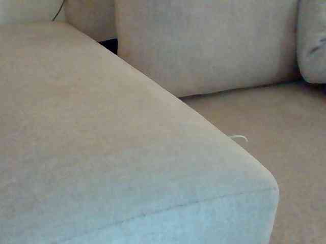Dollie webcam
