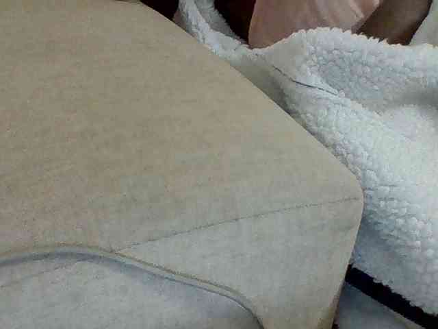 Dollie webcam