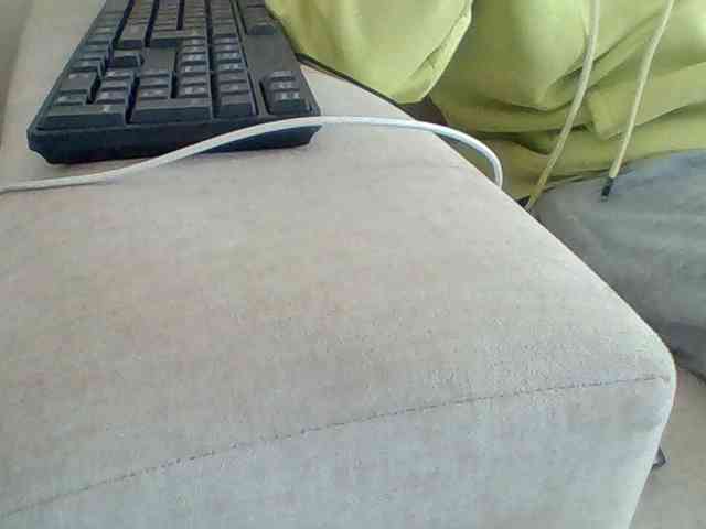 Dollie webcam