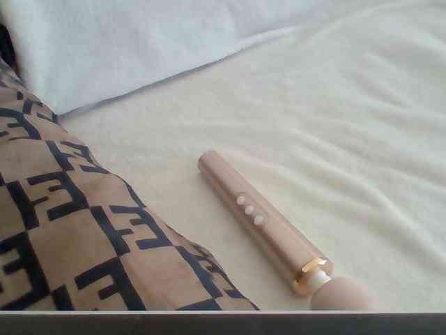 Dollie webcam