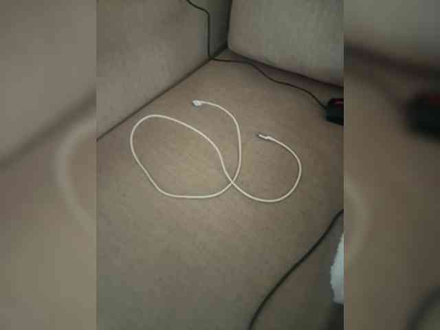 Dollie webcam