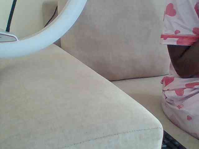 Dollie webcam