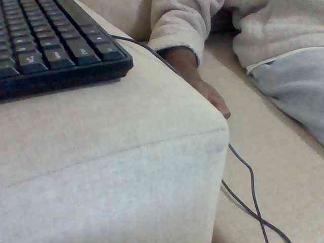 Dollie webcam