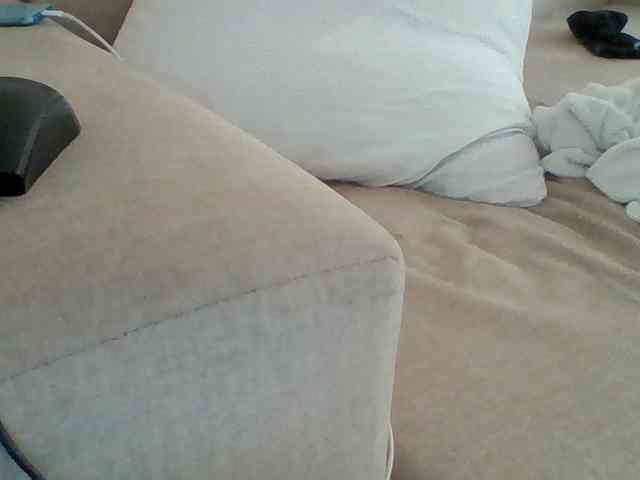 Dollie webcam