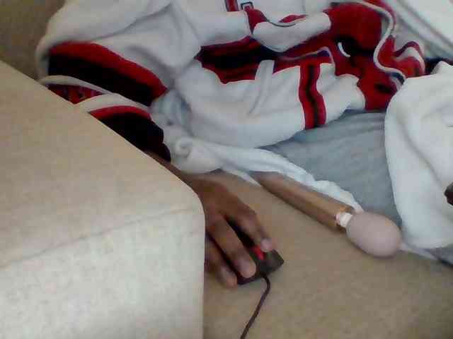 Dollie webcam