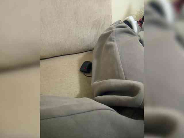 Dollie webcam