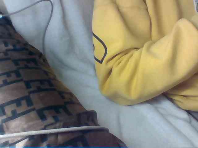 Dollie webcam