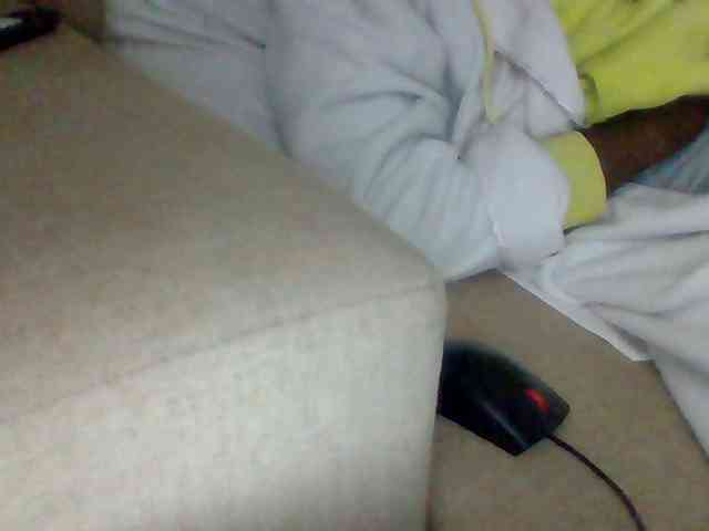 Dollie webcam