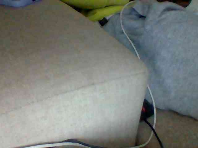 Dollie webcam