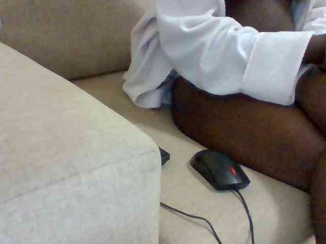 Dollie webcam