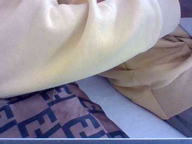 Dollie webcam