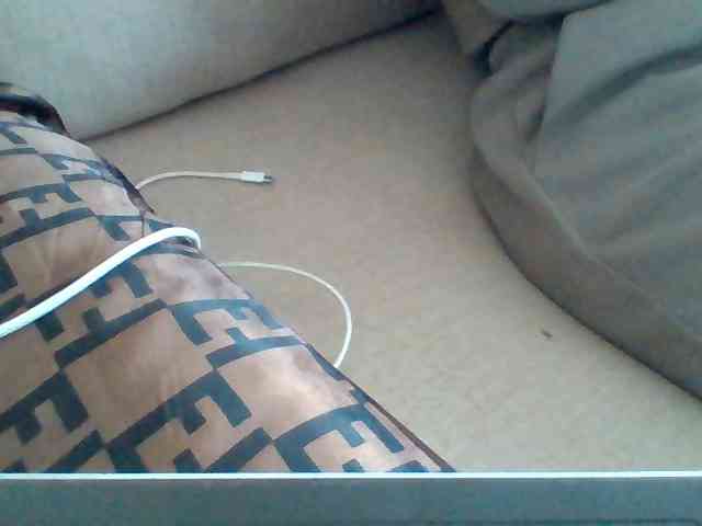 Dollie webcam