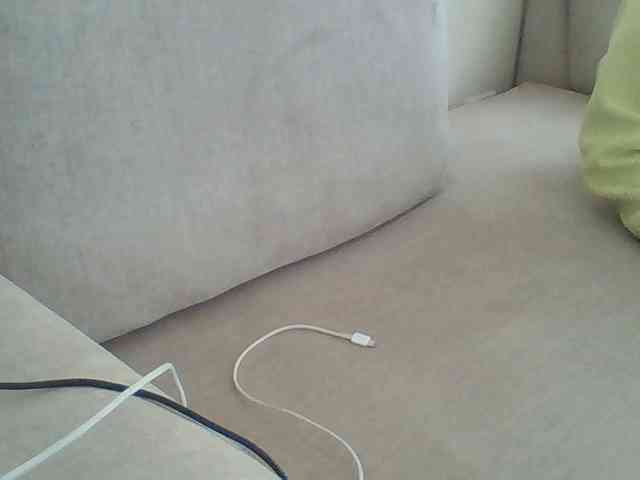Dollie webcam