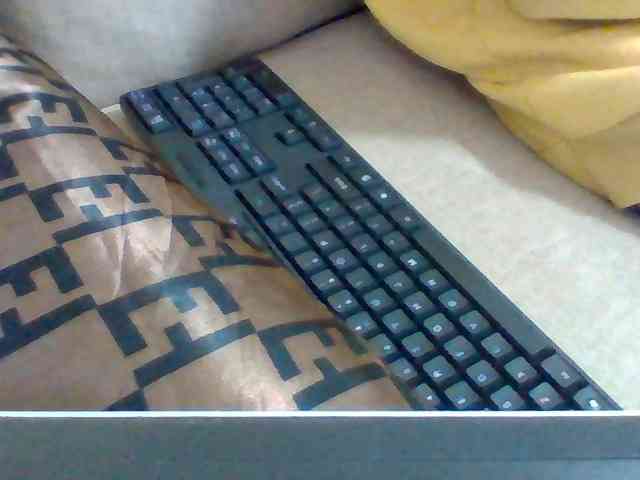 Dollie webcam