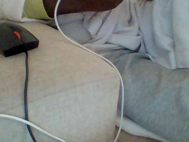 Dollie webcam