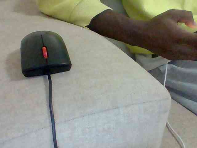 Dollie webcam