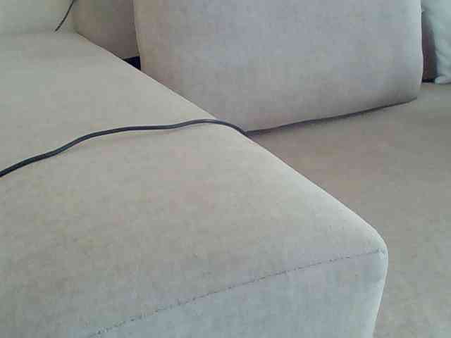Dollie webcam