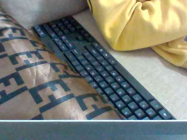 Dollie webcam