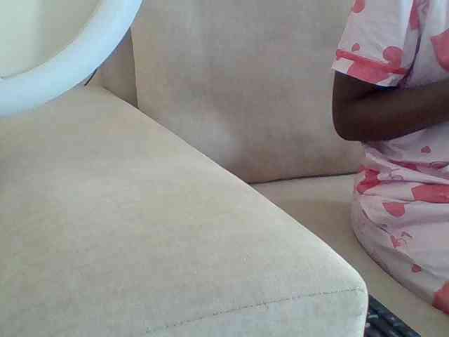 Dollie webcam