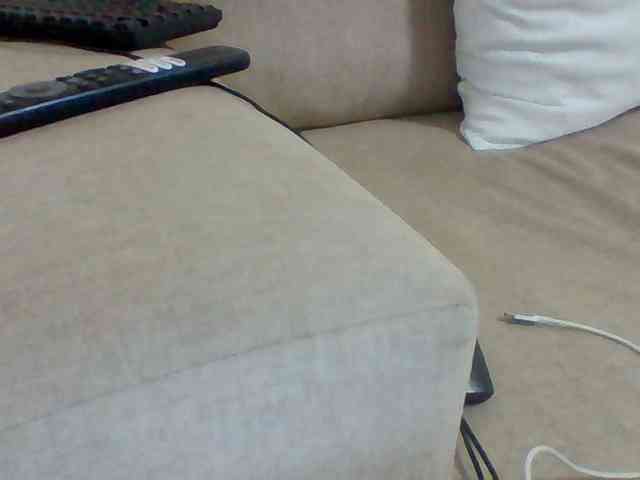 Dollie webcam