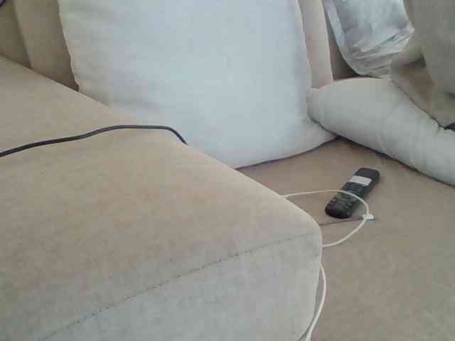 Dollie webcam