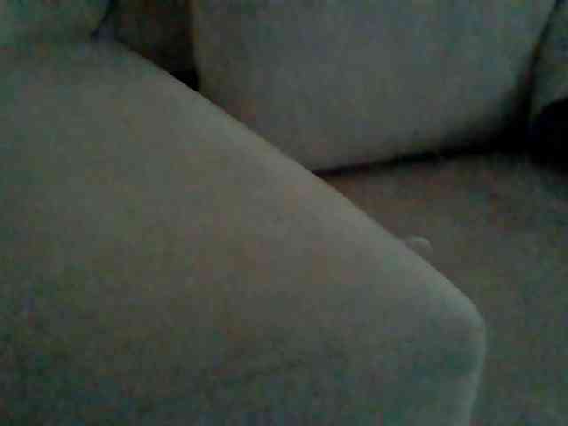 Dollie webcam