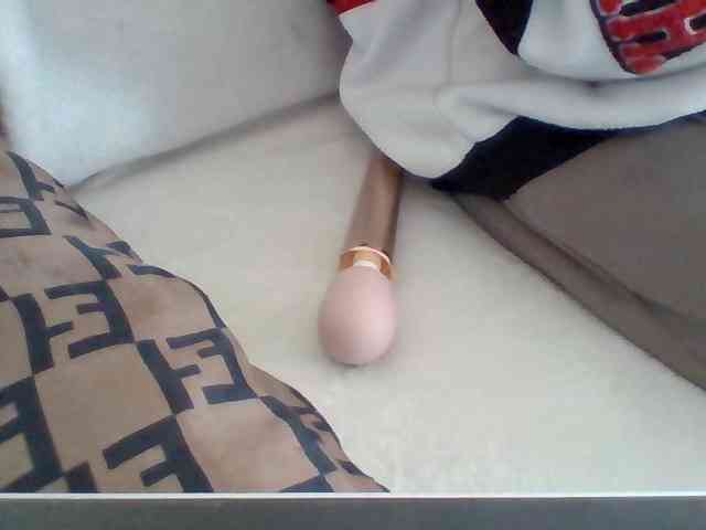 Dollie webcam