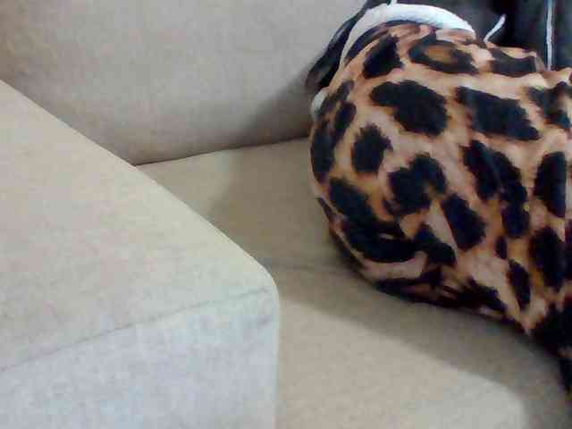 Dollie