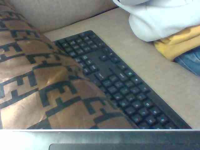 Dollie webcam