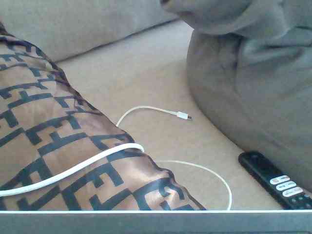 Dollie webcam