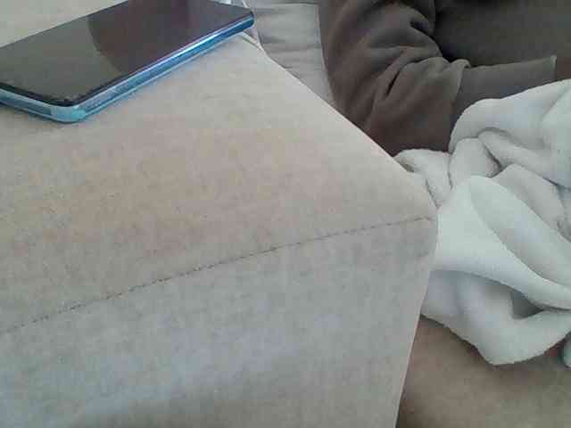 Dollie webcam