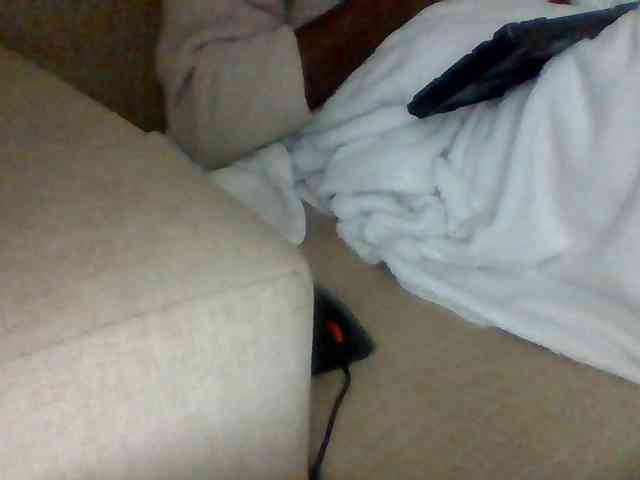 Dollie webcam