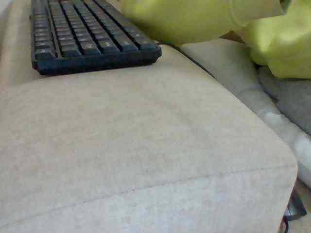 Dollie webcam