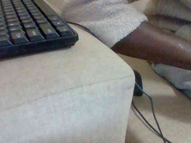 Dollie webcam