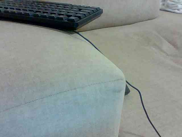 Dollie webcam