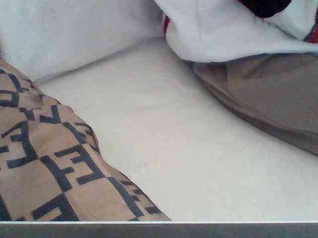 Dollie webcam